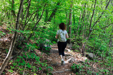 Naklejka na ściany i meble woman traveler walking in the woods on a hike
