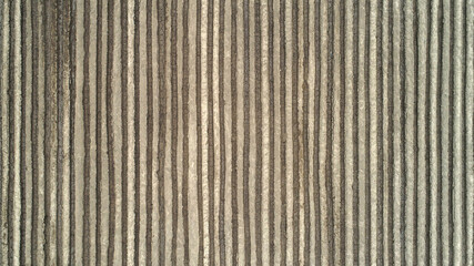 Natural landscape of farmland in North China Plain, aerial photos