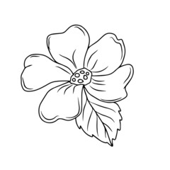 Children's vector design botany ,flowers for stickers, social networks, postcards 