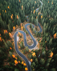 Fototapeta Top aerial view of famous Snake road near Passo Giau in Dolomite Alps. Winding mountains road in lush forest with orange larch trees and green spruce in autumn time. Dolomites, Italy obraz