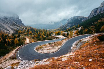 Winding mountains road leading to Three peaks of Lavaredo in Tre Cime di Lavaredo National Park in Dolomite Alps. Orange grass and lush larches forest around. Autumn in Dolomites, Italy - obrazy, fototapety, plakaty