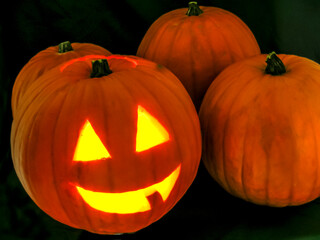 Halloween pumpkins on Black background