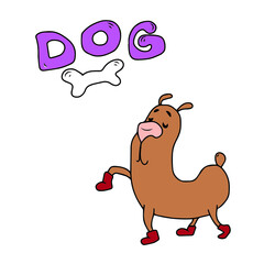 Children's vector design of a dog,panda for stickers, social networks,postcards