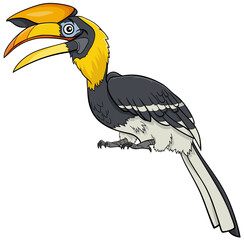 hornbill bird animal character cartoon illustration © Igor Zakowski