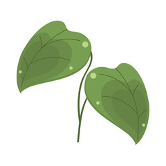 jungle plant leaf