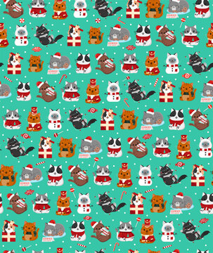 Christmas Kitty Patterns