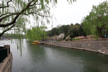 tourists take pleasure boats in the park.