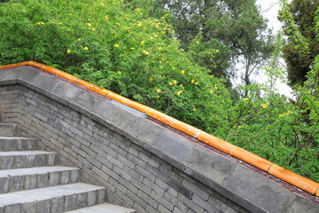 Beautiful plants and ancient traditions are built in the park, Beijing