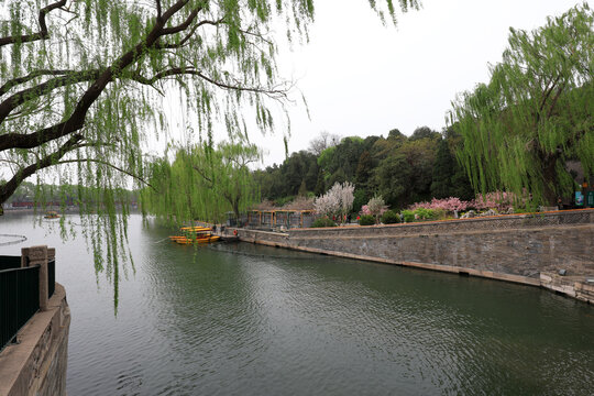 Tourists Take Pleasure Boats In The Park.