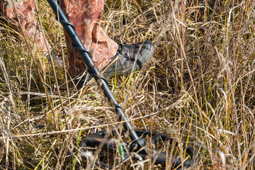 Fototapeta premium A man with a metal detector. Look for metal in the woods. Precious search engine.