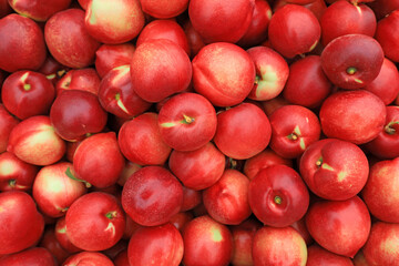 Piles of nectarines pile up on a farm in North China