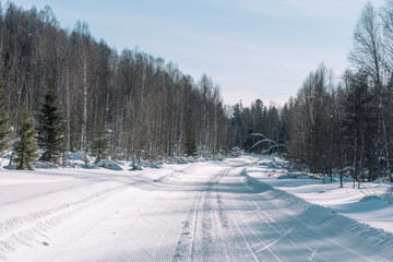 Trail for skiers in the forest. Road for skiers. Road in the forest for sengohod.