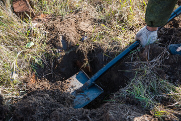 Digging with a shovel in the forest. The man is digging the ground. Dig up the treasure.