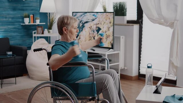 Woman with physical disability doing exercise with dumbbells and watching workout video on tablet. Retired person sitting in wheelchair and following training lesson with weights.