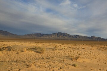 Silky Golden Dunes
