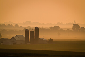 Foggy morning farmland