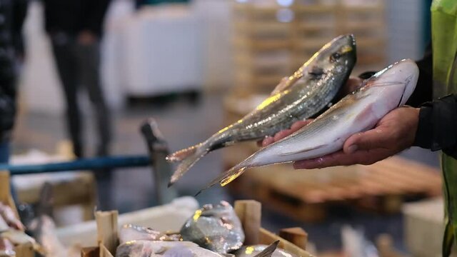 man holding fish. Salesman in fish marketplace. Fishmonger takes raw fish in hands swiping off crushed ice