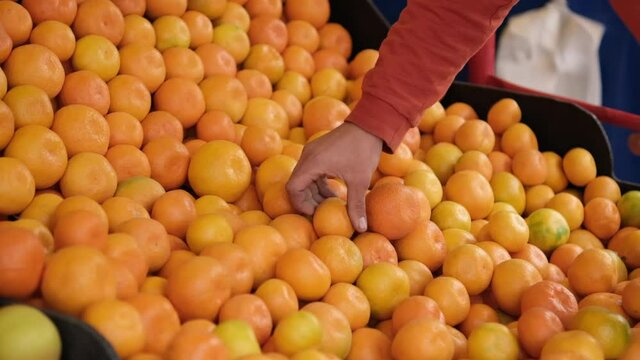 greengrocer arranging tangerines. tangerines on the shelf. fresh tangerines