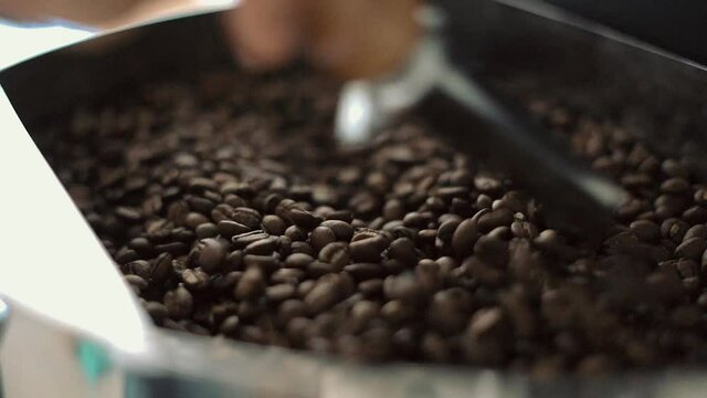 coffee beans mixing. Hand mixing roasted coffee beans. Slow motion of arabica coffee seeds