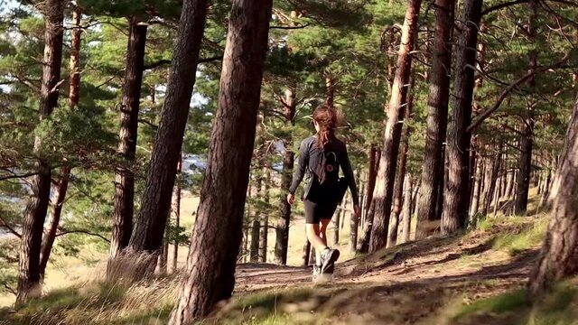 Girl Hiking a Forest Trail on the Dunes Near the Sea. Woman Walking in Nature. Latvian Dune Pine Tree Forest. Going on a hike, walk, exploring Latvian outdoors in summer.