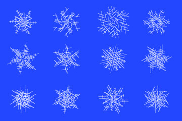 Fototapeta na wymiar Set of snowflakes, vector illustration. Winter background. 