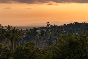 Spectacular sunset over rooftops and forest. Sea and cloudy sky in the background.