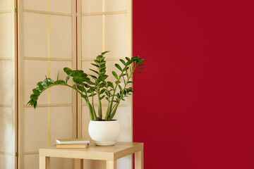 Stylish folding screen and houseplant near red wall