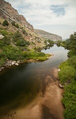Obraz premium Trout in Popo Agie River at The Rise in Sinks Canyon State Park, Wyoming