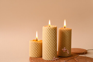 Burning candles and dry flowers on beige background