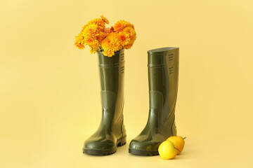 Rubber boots, flowers and fruits on color background