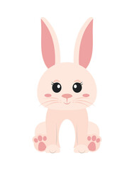 cute rabbit cartoon