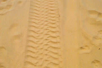 4WD tire tracks in the sand