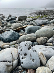 Fototapeta na wymiar Rocks and tidal pools in different formations reveal histories and stories of marine life at Botanical beach in Vancouver Island
