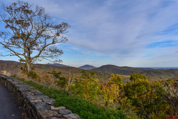Mountain Scenery With Beautiful Fall Trees in the Foreground and a Bright Blue Sky in the Background