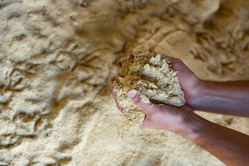 Animal feed - corn flour in the hands of a farmer