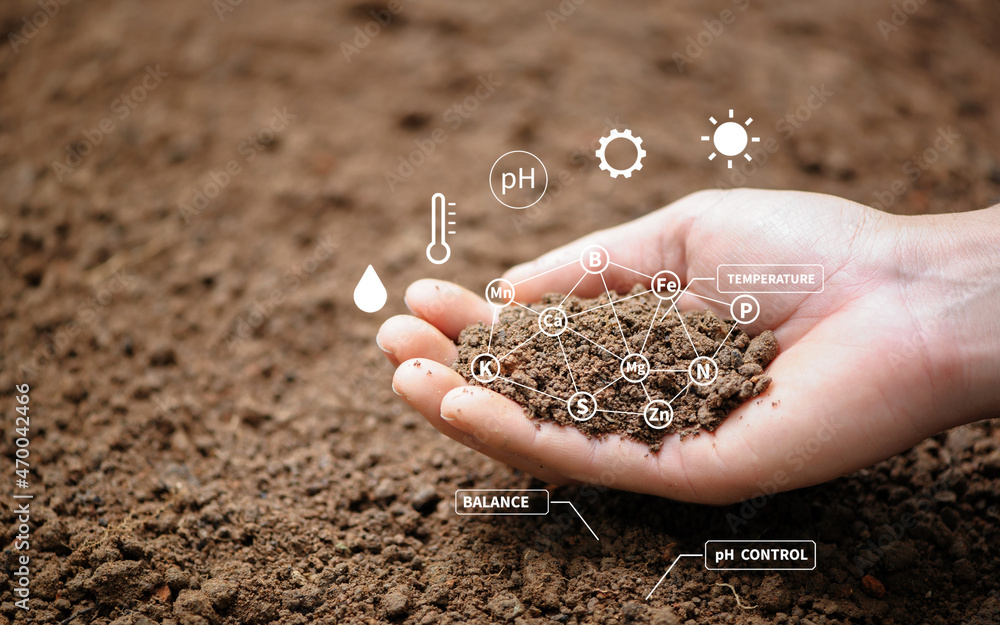 Wall mural top view of soil in hands for check the quality of the soil for control soil quality before seed pla