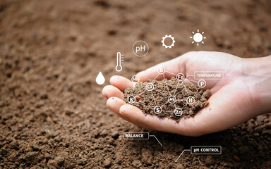 Top view of soil in hands for check the quality of the soil for control soil quality before seed...