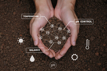 Top view of soil in hands for check the quality of the soil for control soil quality before seed...