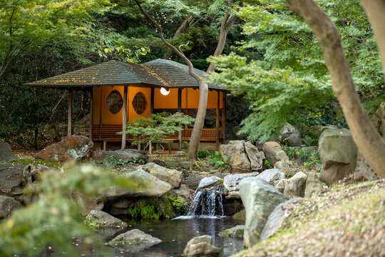 六義園　滝見茶屋