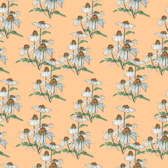 Design chamomile field meadow spring summer flowers seamless pattern on light beige background.Trendy dissipative floral texture for print, fashion, textile, fabric, decoration, wrapping.