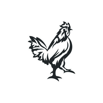 Chicken Logo Design Vector