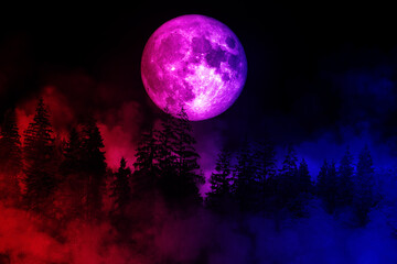 Obraz na płótnie Canvas Full moon and forest with fog in red and blue lighting effect background. (Elements of this image furnished by NASA.)