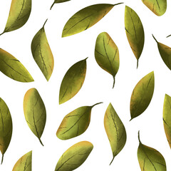 Green blueberry leaves on a white background. Seamless floral pattern
