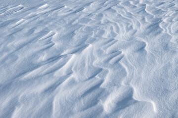 Snow texture. White winter fresh snowflakes background in blue tone