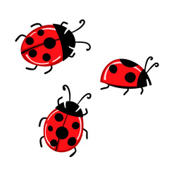 Set of cartoon ladybird mascot. A small ladybugs flying. Vector characters. Incest icon. Template design for invitation, cards. Doodle style