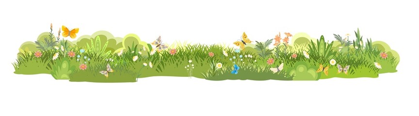 Meadow. Summer herbal glade. Grass close up. Flowers. Rural beautiful landscape. Wild uncut lawn. Cartoon style. Flat design. Isolared on white background. Illustration vector art