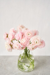 Persian buttercup. Bunch pale pink ranunculus flowers light background. Wallpaper, Horizontal photo