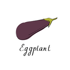 Eggplantsign. Vegetable isolated icon. Eggplant for farm market, vegetarian salad recipe design. vector illustration in flat style