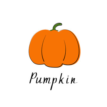 Pumpkin colorful icon. Isolated object. Organic vegetable food. Vector illustration