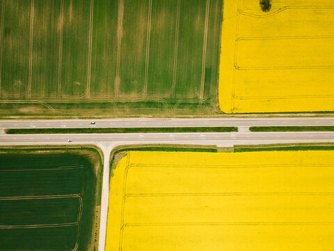Aerial view of yellow rapeseed and green wheat crop fields with some roads and highway around. Colorful bird view. Agriculture of Europe.